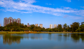 Semae, Prefeitura, Itaquareia e UMC realizarão evento “Plantando Vida Pelo Tietê”, no Parque Centenário (Divulgação/PMMC)