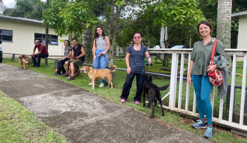 Passeio do Bem reúne voluntários e animais abrigados no Núcleo de Bem-Estar Animal (Nubea), proporcionando carinho e atenção aos pets (Divulgação/PMMC)