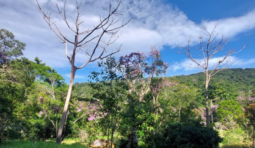 Programa Municipal de Educação Ambiental- ProMEA realiza